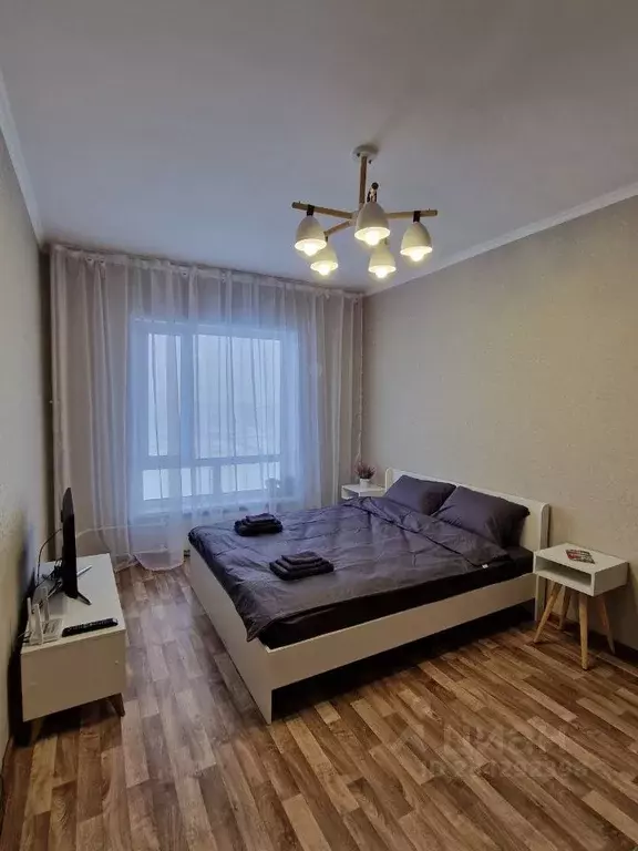 1-к кв. Псковская область, Псковский район, Завеличенская волость, д. ... - Фото 2