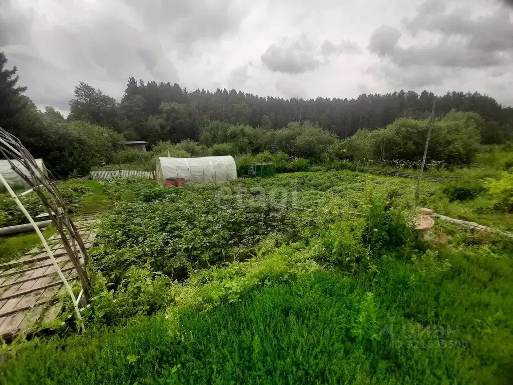 Участок в Свердловская область, Талицкий муниципальный округ, пос. ... - Фото 1