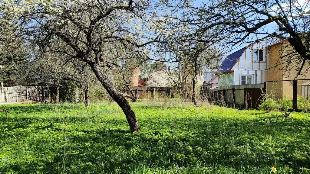Участок в Московская область, Мытищи городской округ, пос. Свиноедово  ... - Фото 1
