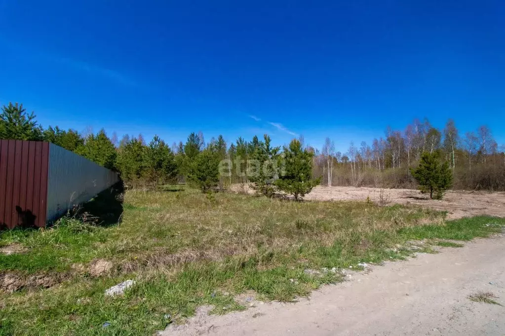 Участок в Тюменская область, Нижнетавдинский район, Березка СНТ  (24.0 ... - Фото 0