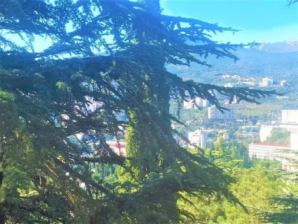 Участок в Крым, Ялта ул. Войкова, 26 (9.0 сот.) - Фото 1