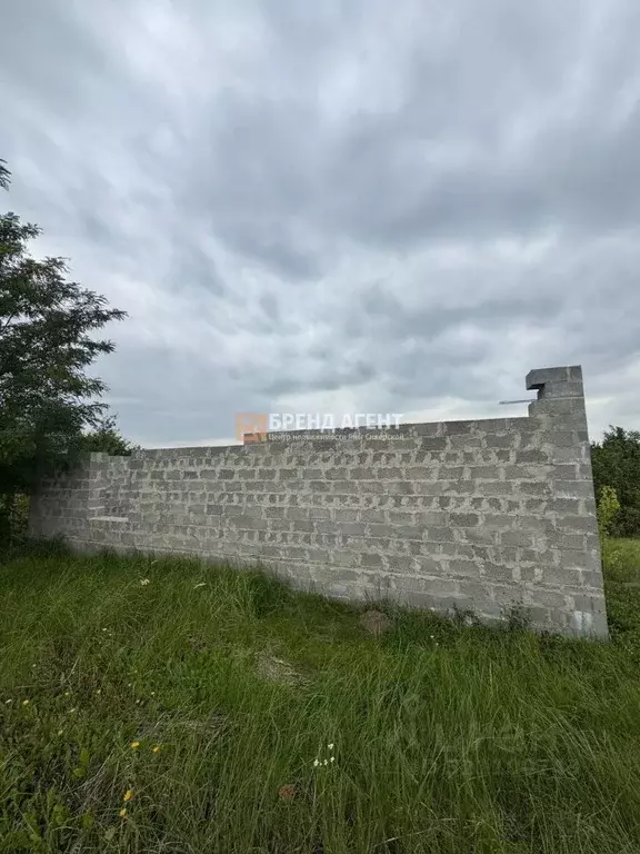 Участок в Белгородская область, Строитель Яковлевский городской округ, ... - Фото 2