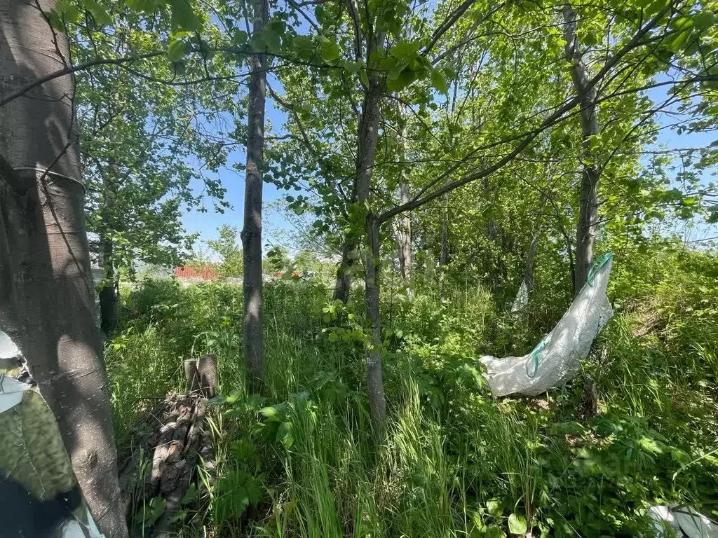 Участок в Камчатский край, Елизовский муниципальный округ, пос. ... - Фото 2