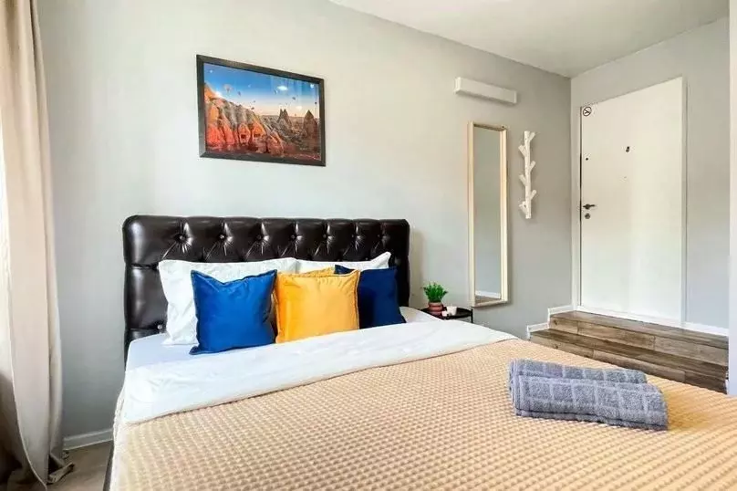 1-к кв. Московская область, Котельники ул. Сосновая, 5 (24.0 м) - Фото 2