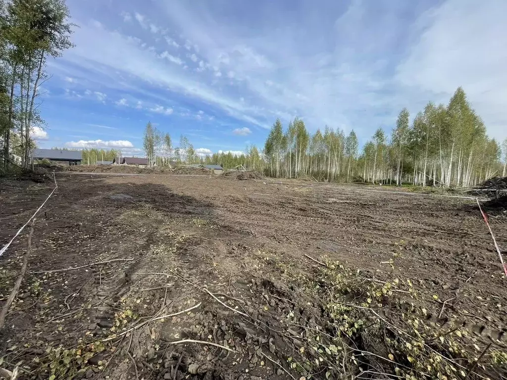 Участок в Новосибирская область, Новосибирский район, Станционный ... - Фото 1