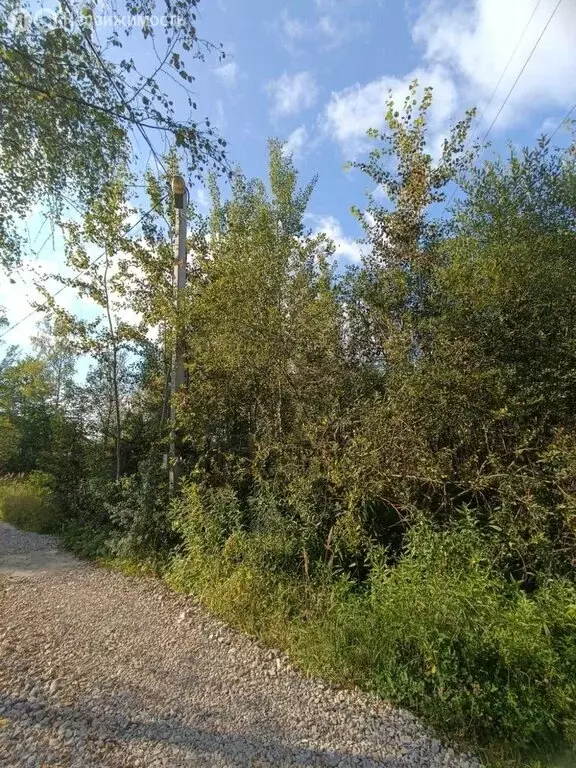 Участок в Тверь, садовое товарищество Дружба, 14 (5.5 м) - Фото 1