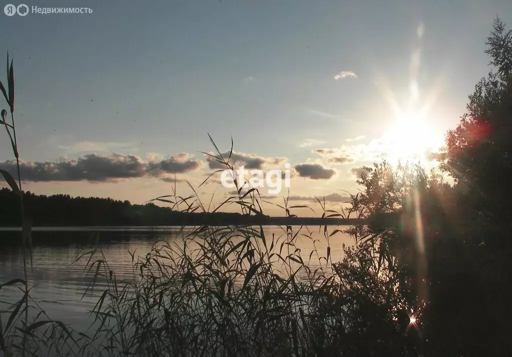 Участок в посёлок Ромашки, садоводческое некоммерческое товарищество ... - Фото 1