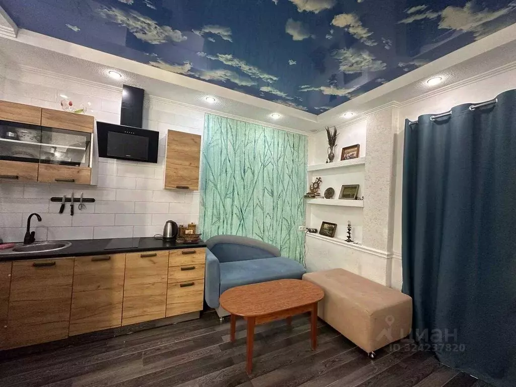 Студия Севастополь с. Орловка, ш. Качинское, 35А (23.0 м) - Фото 1