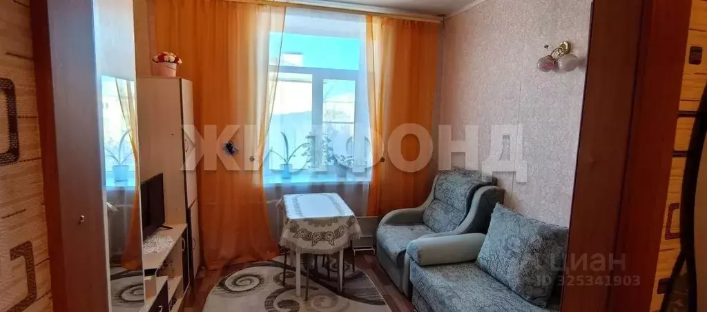 1-к кв. Алтайский край, Барнаул Тимуровская ул., 62 (18.0 м) - Фото 1