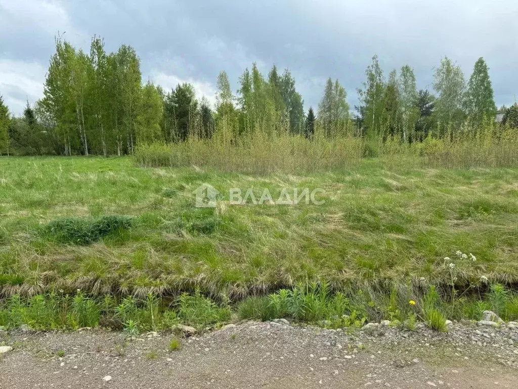 Участок в Ленинградская область, Всеволожский район, Романовское ... - Фото 1