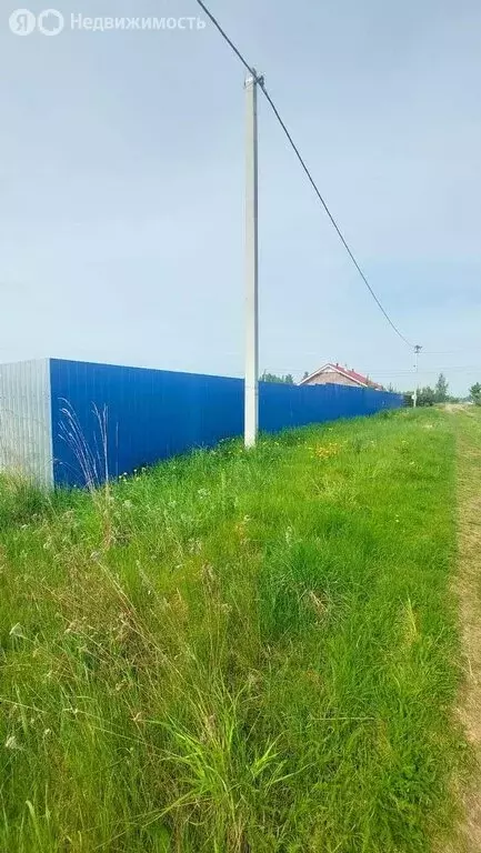 Участок в Новгородский муниципальный район, Ракомское сельское ... - Фото 1