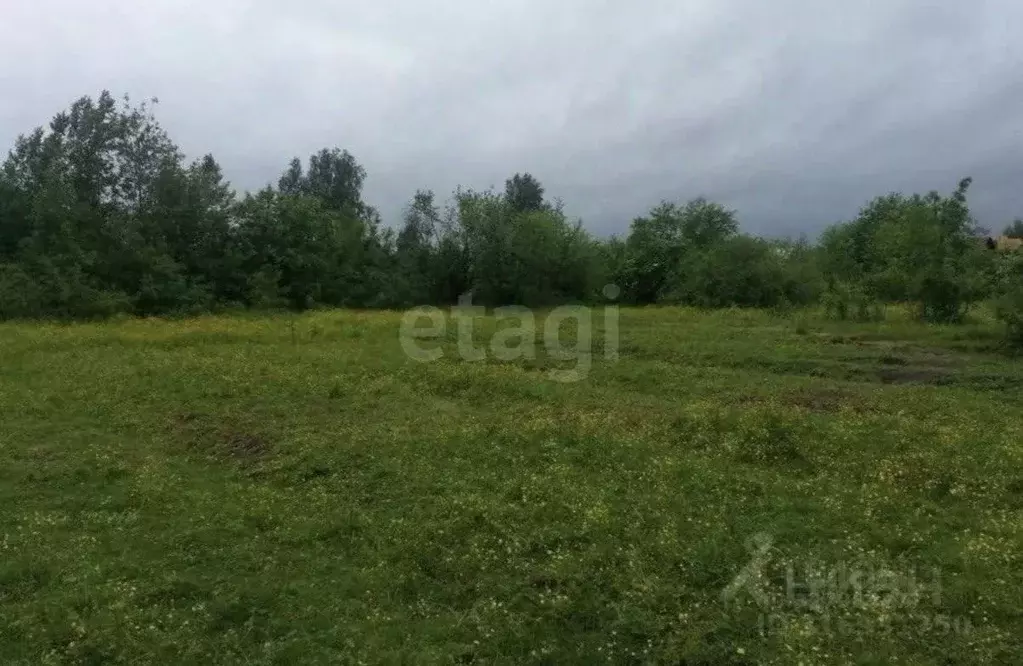Участок в Ростовская область, Аксайский район, Старочеркасское с/пос, ... - Фото 2