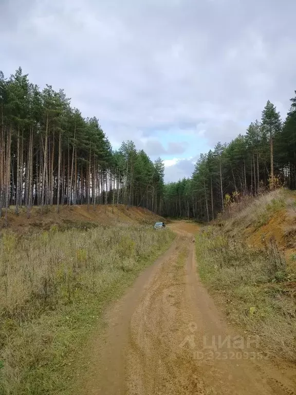 Участок в Ярославская область, Рыбинский муниципальный округ, д. ... - Фото 2