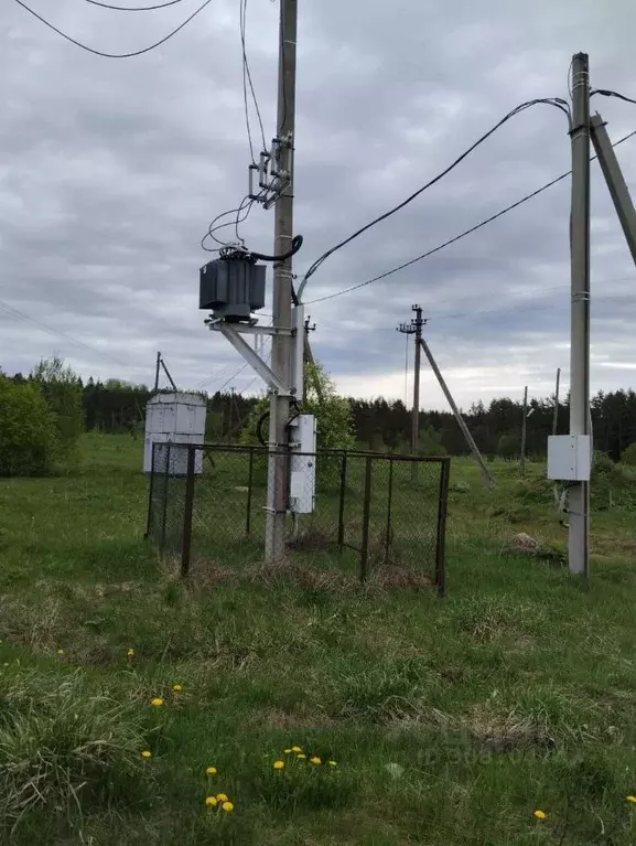 Участок в Ленинградская область, Приозерский район, Раздольевское ... - Фото 1