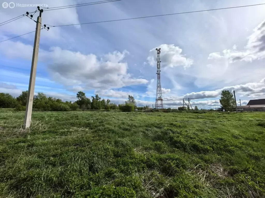 Участок в Тюменский муниципальный округ, село Созоново (23 м) - Фото 2