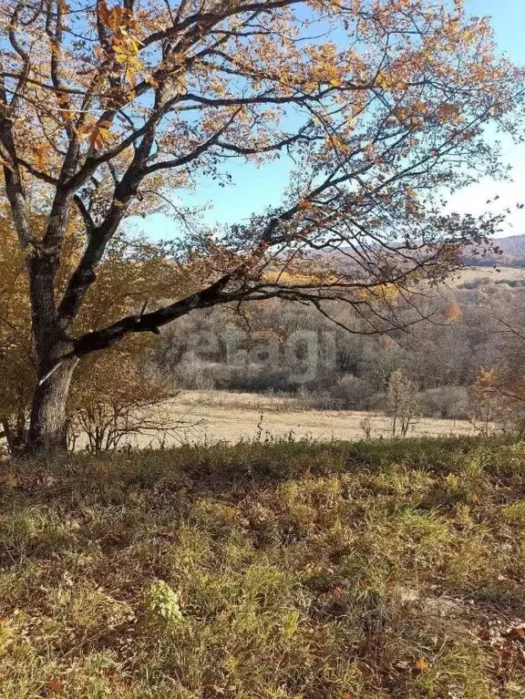 Участок в Адыгея, Майкопский район, Абадзехское с/пос, Севастопольская ... - Фото 1