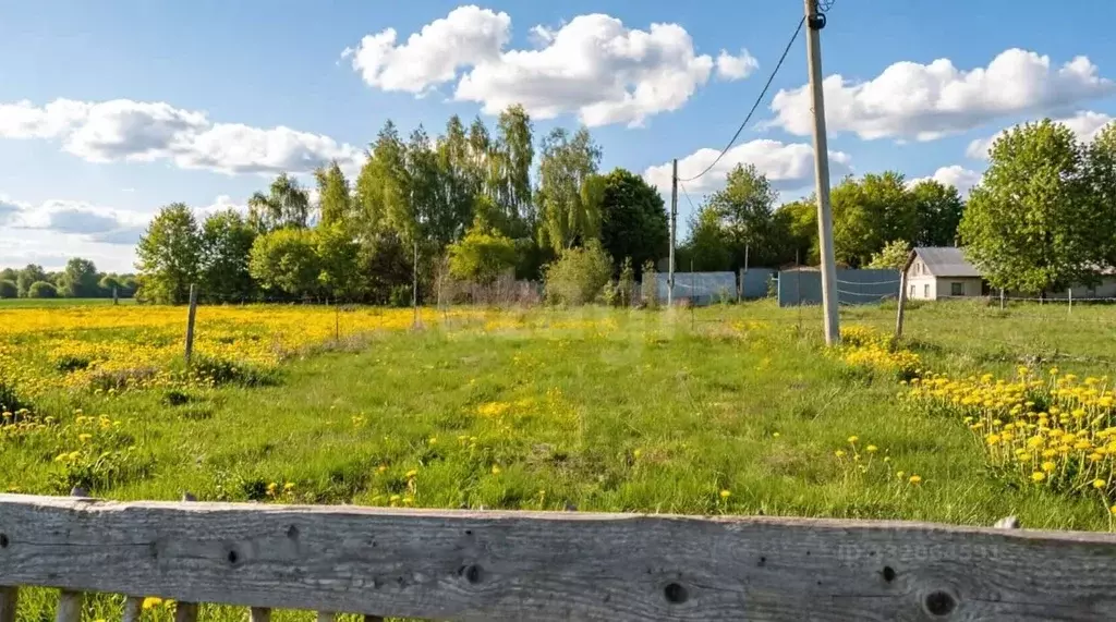 Участок в Тульская область, Тула городской округ, с. Высокое, Высокое ... - Фото 1