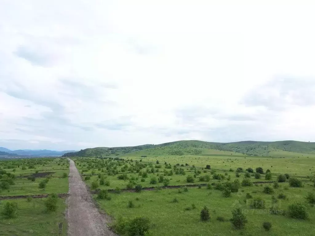 Купить Участок В С Подгорное Горно Алтайск