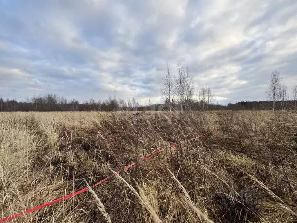 Участок в Костромская область, Нерехтский район, Воскресенское с/пос, ... - Фото 1