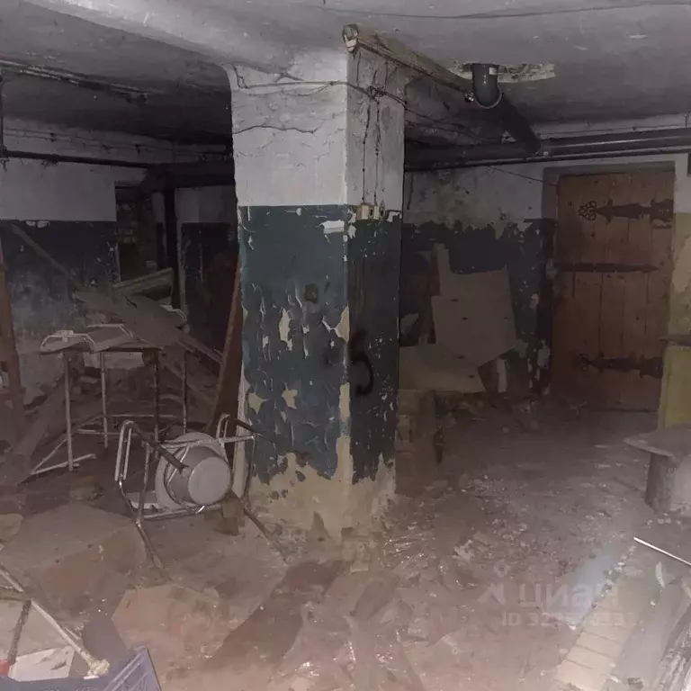 Помещение свободного назначения в Тамбовская область, Тамбов Советская ... - Фото 2