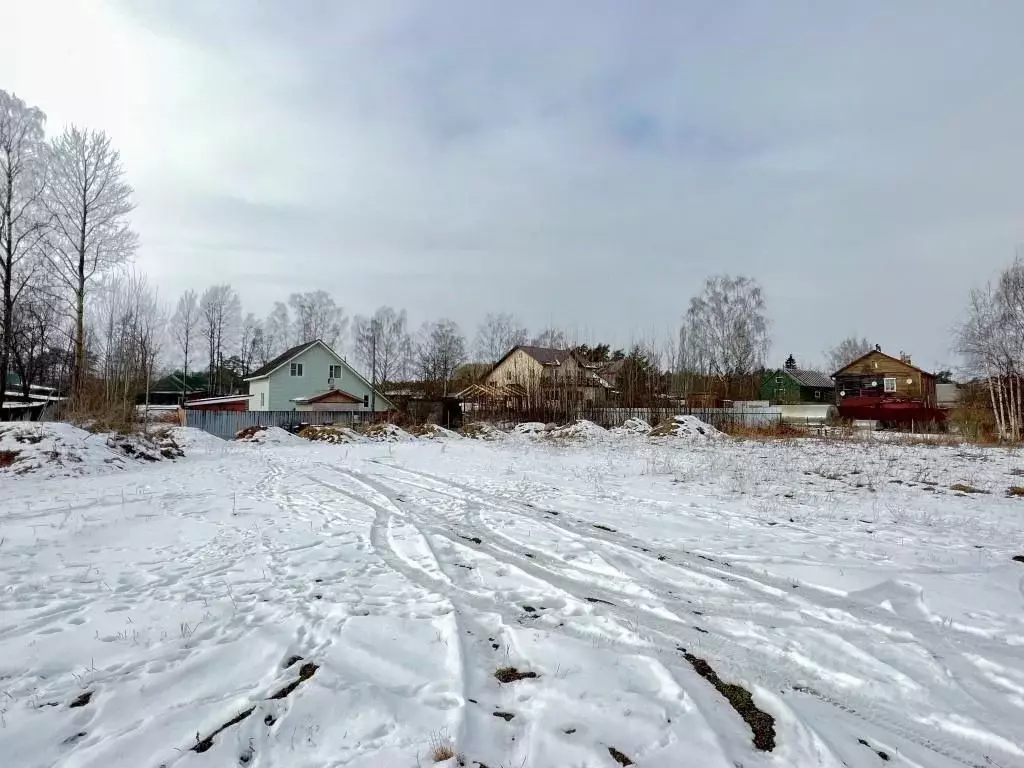 Участок в Ленинградская область, Приморск Школьная ул. (20.0 сот.) - Фото 0