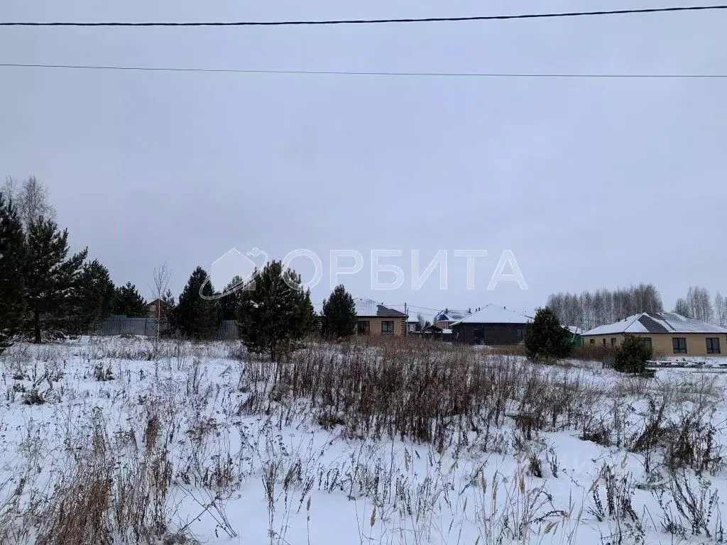 Участок в Тюменская область, Тюменский район, с. Каменка Каменская ул. ... - Фото 1