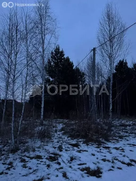 Участок в Тюменский муниципальный округ, деревня Головина (13.09 м) - Фото 1