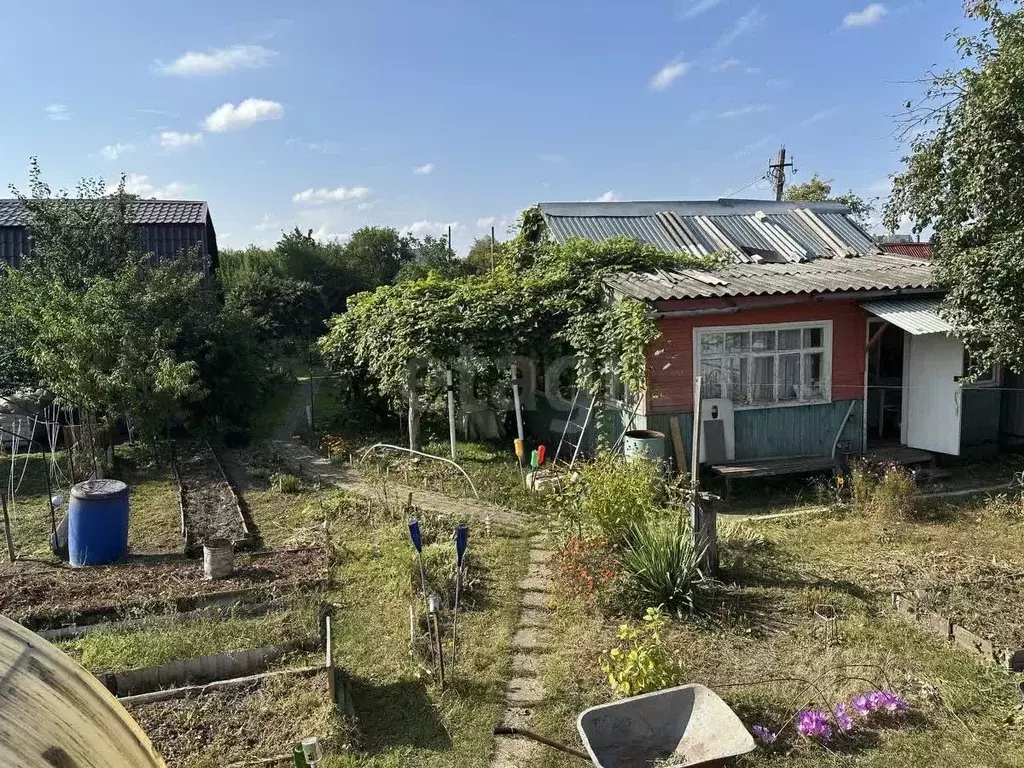 Дом в Брянская область, Брянск Родина садоводческое объединение,  (36 ... - Фото 1