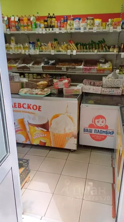 Торговая площадь в Липецкая область, Елец ул. Героев, 21 (24 м) - Фото 1