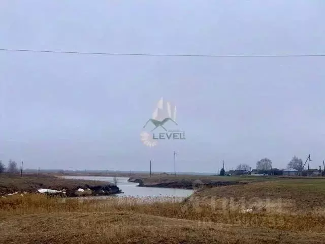 Участок в Саратовская область, Балашовский район, Барковское ... - Фото 1