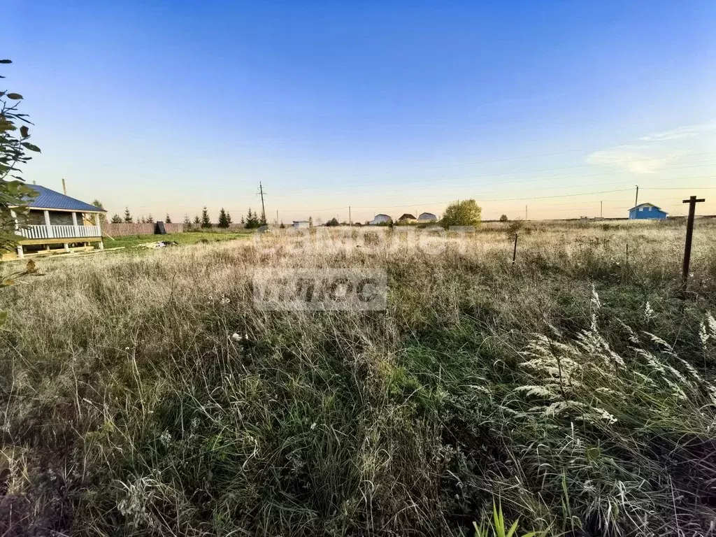 Участок в Владимирская область, Александровский район, Каринское ... - Фото 0