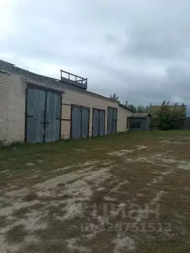 Офис в Ульяновская область, Радищевский район, Дмитриевское с/пос, с. ... - Фото 2