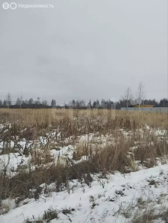 Участок в Тугулымский городской округ, село Лучинкино, Новая улица ... - Фото 0