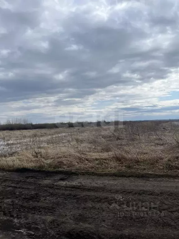 Участок в Тюменская область, Тюмень  (50.0 сот.) - Фото 1