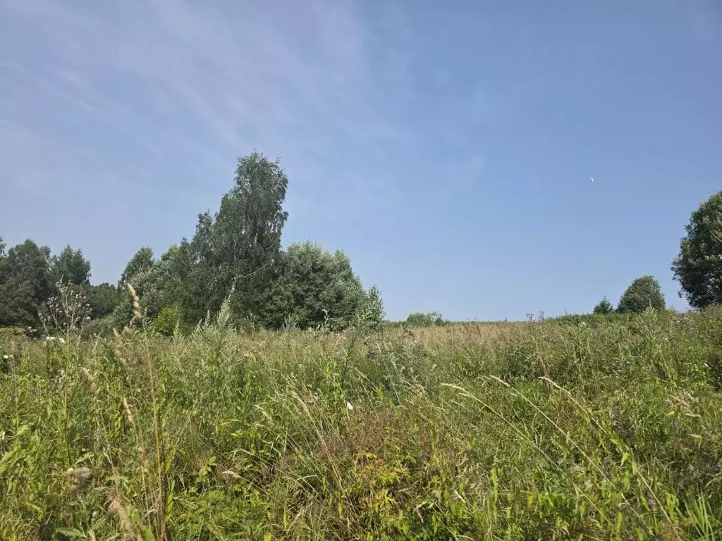 Участок в Московская область, Клин городской округ, д. Орлово ул. ... - Фото 2