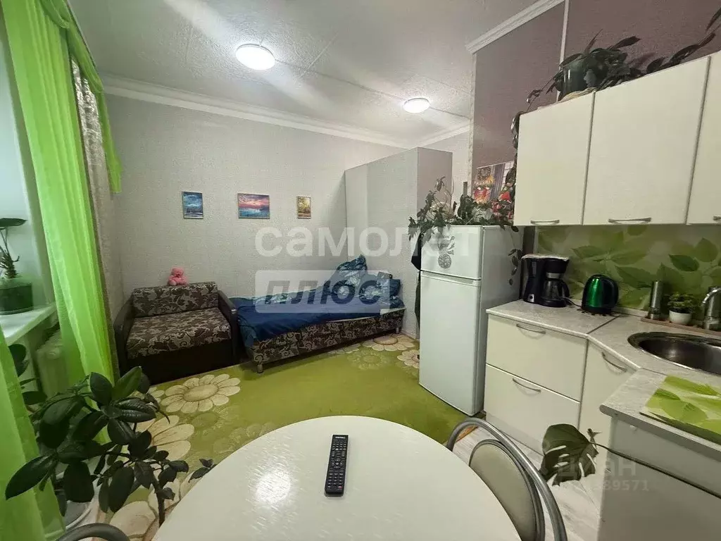 Студия Свердловская область, Ревда ул. Карла Либкнехта, 49 (20.5 м) - Фото 2