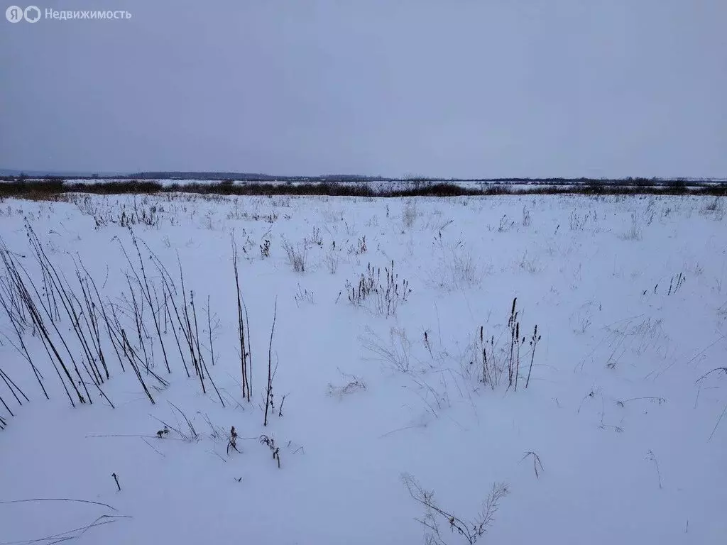 Участок в Исетский район, деревня Турушево, Береговая улица (47.66 м) - Фото 0