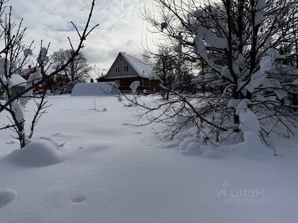 Участок в Московская область, Пушкинский городской округ, д. Луговая  ... - Фото 1