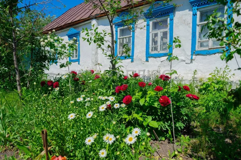 Дом в Липецкая область, Добровский муниципальный округ, с. Каликино ... - Фото 0