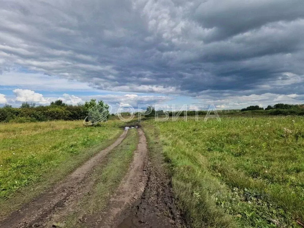 Участок в Тюменская область, Тюменский муниципальный округ, с. Луговое ... - Фото 0