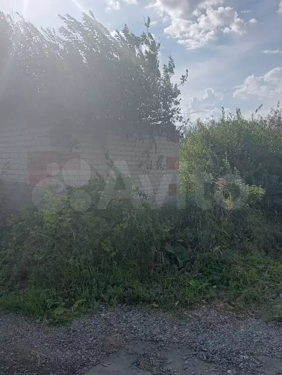 Участок 4 сот. (СНТ, ДНП) - Фото 1