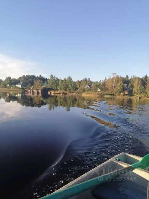 Дом в Новгородская область, Демянский муниципальный округ, д. Новый ... - Фото 2
