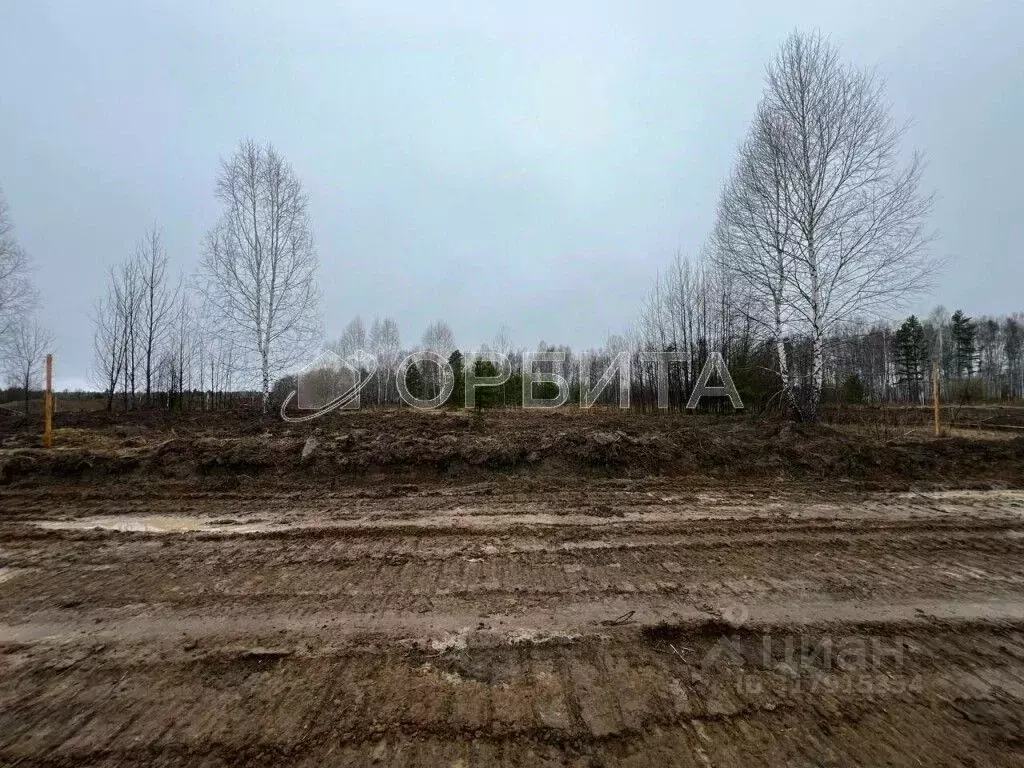 Участок в Тюменская область, Нижнетавдинский район, Березка СНТ 33/1 ... - Фото 1