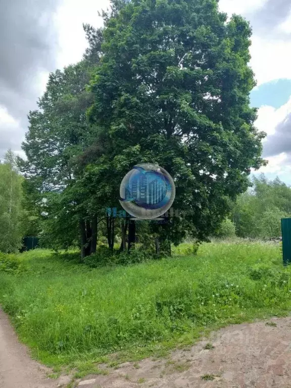 Участок в Московская область, Ступино городской округ, д. Мясное ул. ... - Фото 0