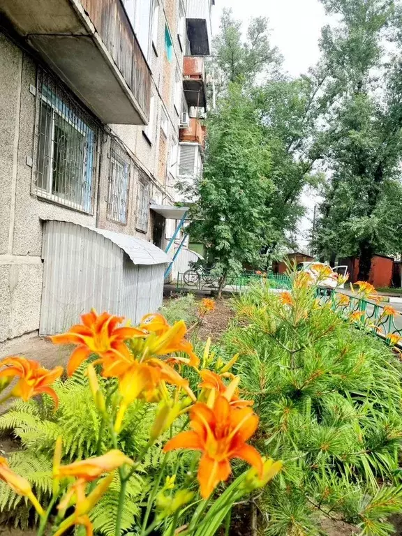 1-к. квартира, 32 м, 1/5 эт. - Фото 1
