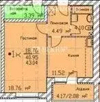 1-комнатная квартира: Ярославль, улица Маланова, 23 (43.04 м) - Фото 2