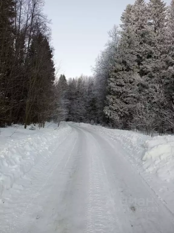 Участок в Пермский край, Пермь Лесная Поляна СТ,  (6.2 сот.) - Фото 0