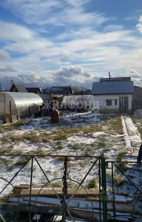 Дом в Новосибирская область, Новосибирск Нива садовое товарищество,  ... - Фото 0