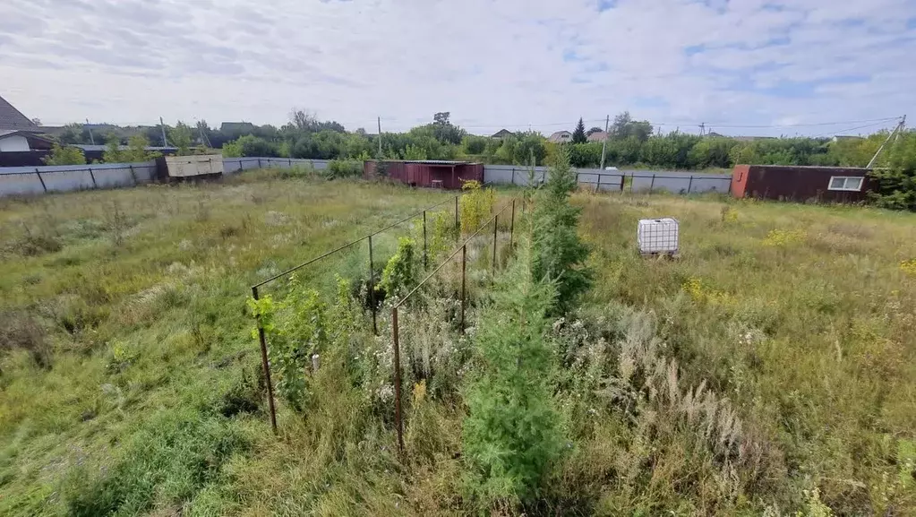 Участок в Курская область, Горшеченский район, Куньевский сельсовет, ... - Фото 1