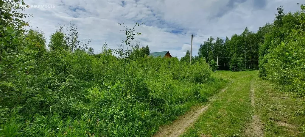 Участок в Тверская область, Старицкий муниципальный округ, деревня ... - Фото 0